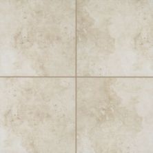 Mohawk Ceramic Blanc T821P-CO01-18×18-FieldTile-Ceramic