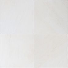 Mohawk Ceramic Everest White T848P-CG05-18×18-FieldTile-Ceramic