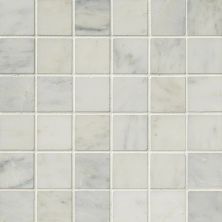 MSI Arabescato Carrara Marble Tile 2x2