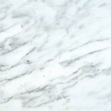 MSI Marble Tile Arabescato Carrara