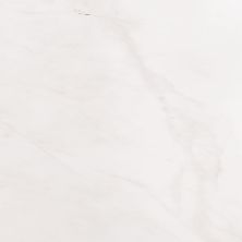MSI Marble Tile Bianco Dolomite