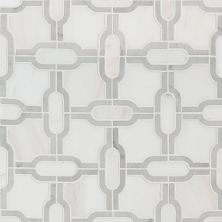 MSI Geometric Pattern Polished Tile Bianco Quatrefoil
