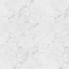 MSI XL Trecento Carrara Avell Luxury Vinyl Tile VTTCARAVE-TXLTRCNT-CARRARAAVELLLUXURYVINYLTILE