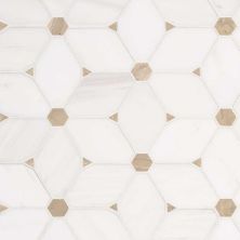 MSI Bianco Dolomite Pattern Marble Tile Cecily