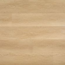 MSI Laurel Coastal Cottage VTRCOACOT9X48