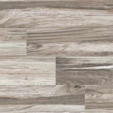 MSI Carolina Timber II Gray 6×24 NCARTIMGRE6X24-N