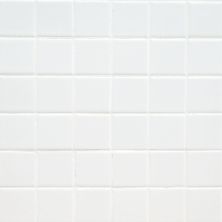 MSI Domino Subway Tile Domino White