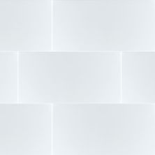 MSI Dymo Ceramic Tile 12x24 Dymo White