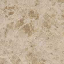 MSI Marble Tile Emperador Light