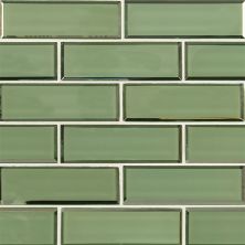 MSI Subway Tile 2x6 Evergreen Beveled