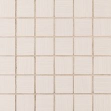 MSI Backsplash & Wall Tile Porcelain Tile 2x2 Focus Glacier