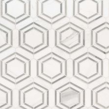 MSI Geometric Pattern Polished Marble Tile Georama Grigio