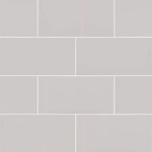 MSI Subway Tile 3x6 Gray Glossy