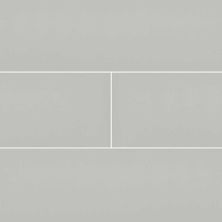 MSI Subway Tile 4x16 Gray Glossy