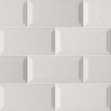 MSI Subway Tile Beveled  3x7 Gray Glossy