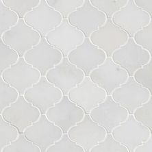 MSI Arabesque Tile Greecian White