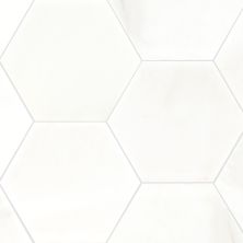 MSI Specialty Shapes Wall Tile 8" Hexagon Polished Greecian White
