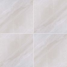 MSI Adella Porcelain Tile Adella Gris