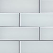 MSI Subway Tile Glass Tile 3x9 Ice