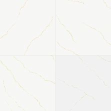 MSI Arterra Porcelain Pavers Porcelain Tile Miraggio Gold