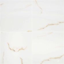 MSI Aria Bianco Polished NARIBIA1224P