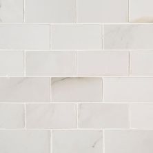 MSI Aria Bianco – 2×4 NARIBIA2X4P