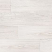 MSI Braxton Blanca NBRABLA10X40