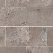 MSI Brickstone Taupe – 5×10 NCAPTAUBRI5X10