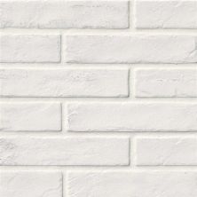 MSI Brickstone White – 2×10 NCAPWHIBRI2X10