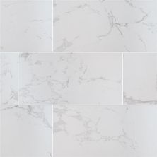 Praia MSI Tile  Carrara NPRACAR2X2