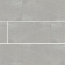 Sande MSI Tile  Grey NSANGRE2X2