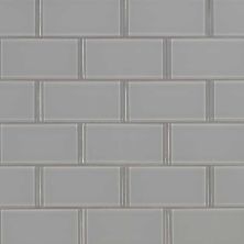 MSI Oyster Gray Subway Tile 2x4
