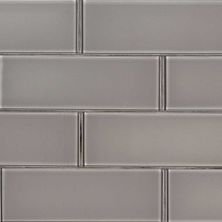 MSI Pebble Glass Tile 3x9