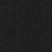 MSI Granite Countertops Granite Tile Premium Black