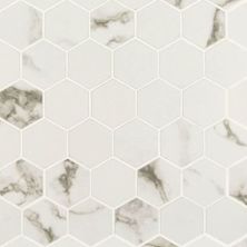 Pietra MSI Tile  Stone Statuario NSTA2X2-N