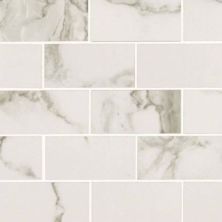 Pietra MSI Tile  Stone Statuario NPIESTA2X4P