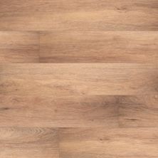 MSI Andover Bellamy Brooks VTRBELBRO7X48-5MM-20MIL