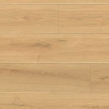MSI Wayne Parc Reserve Elwood VTRELWOOD9X72