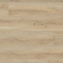 MSI Laurel Reserve Honey Hollow VTRHONHOL9X48