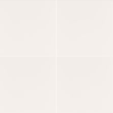 MSI Adella Porcelain Tile White