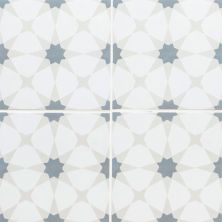 MSI Kenzzi Encaustic Tile Zoudia