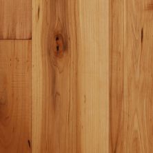 National Flooring Products Montana Collection 422 Hs-E V12E6HSM-NAT