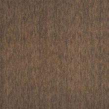 Nourison Grand Velvet Pt99 Bark 1-PT99BARKBR1309WV
