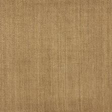 Nourison Grand Velvet Pt99 Brush 1-PT99BRUSHBR1309WV