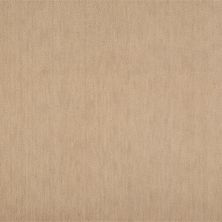 Nourison Grand Velvet Pt99 Shell 1-PT99SHELLBR1309WV