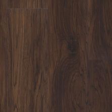 Trucor Alpha Collection by TRUCOR Coffee Hickory FSVAIS_P1025-D8002