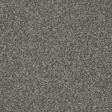 Monte Carlo Shaw Floors  Value Collections Fog 00503-5E433