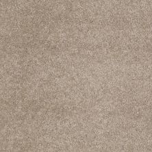 Anderson Tuftex Entirely Becoming II Latte 00172_005CL
