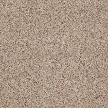 Anderson Tuftex Entirely Becoming II Terrazzo 0213B_005CL