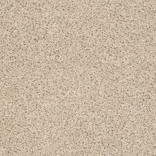 Anderson Tuftex Lennar Homes Great Trend Brushed Ivory 00111_021LR